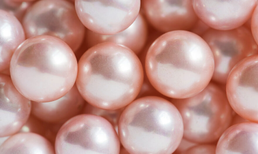 mutiara laut