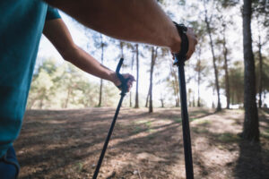 Trekking pole