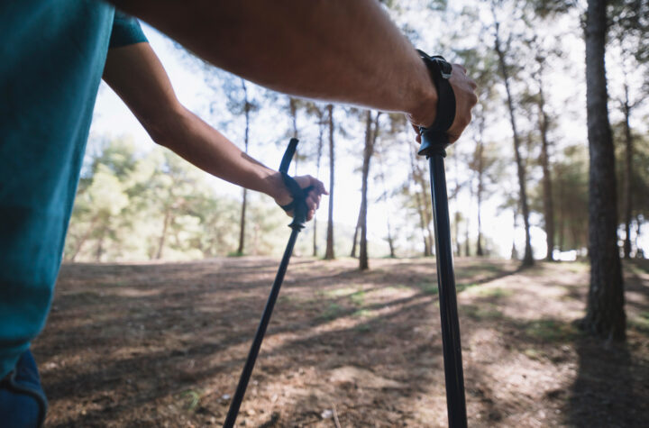 Trekking pole